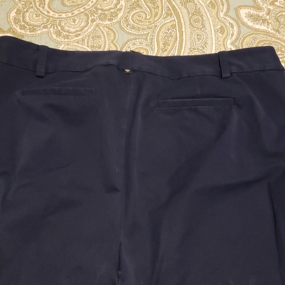 Capris - Picture 4 of 5